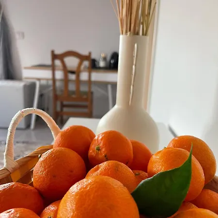 Letymvou Terrace 3* Λετύμπου