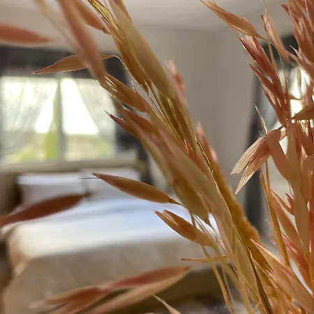 Bed & Breakfast Letymvou Terrace *