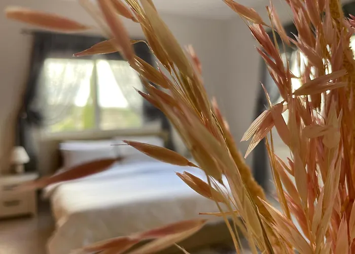 Bed & Breakfast Letymvou Terrace 3*